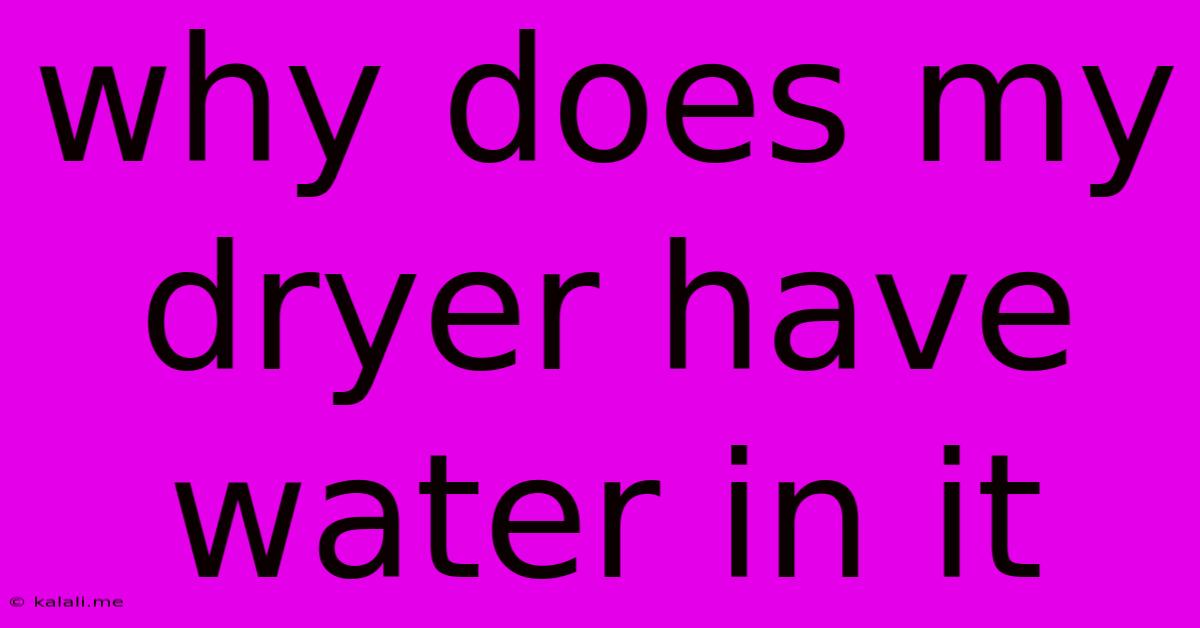 Why Does My Dryer Have Water In It
