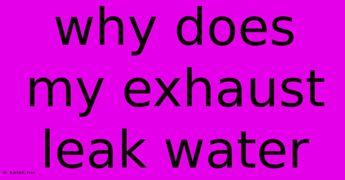 Why Does My Exhaust Leak Water