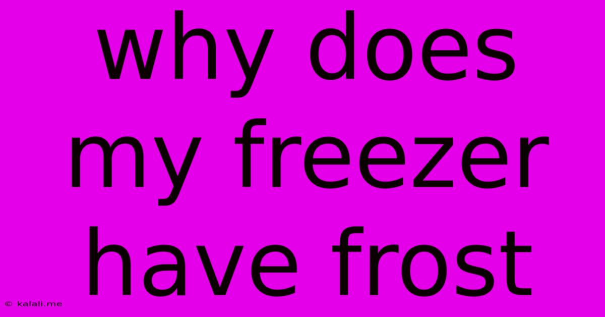 Why Does My Freezer Have Frost