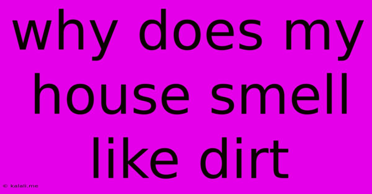 Why Does My House Smell Like Dirt