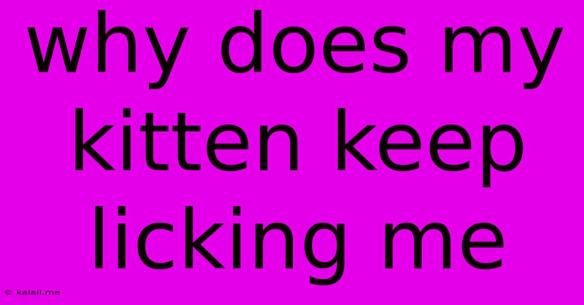 Why Does My Kitten Keep Licking Me