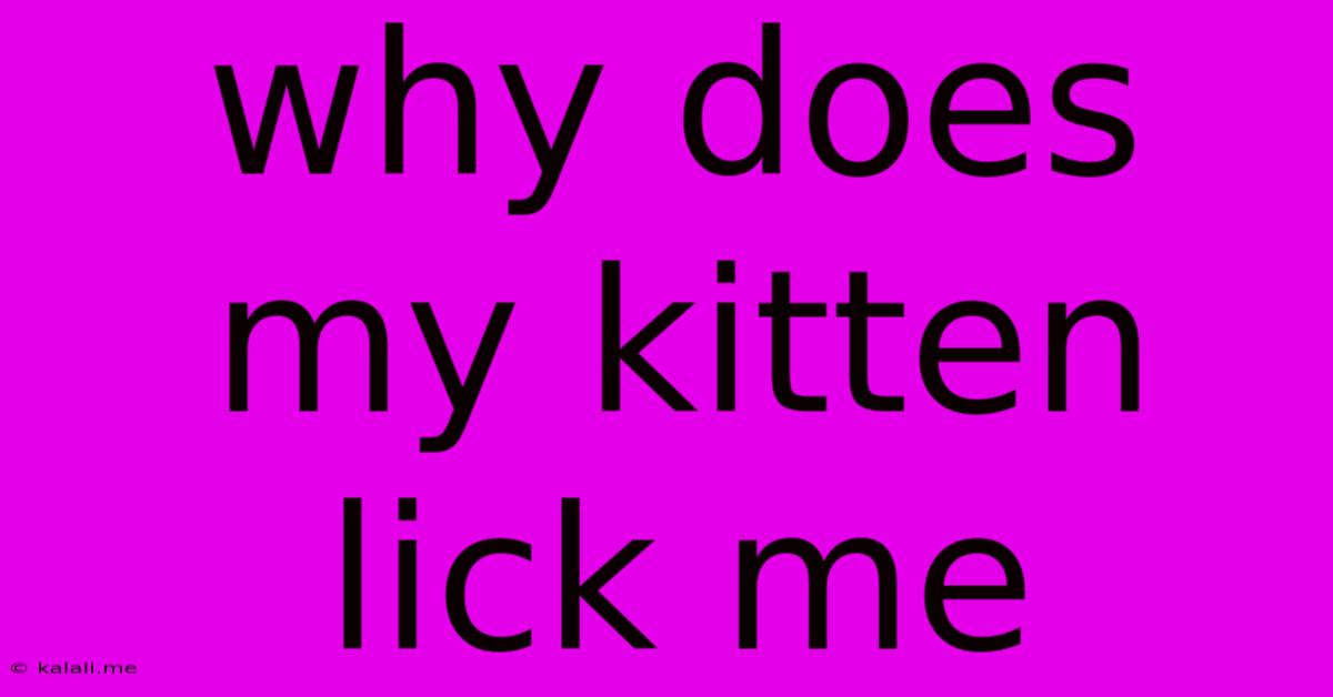 Why Does My Kitten Lick Me