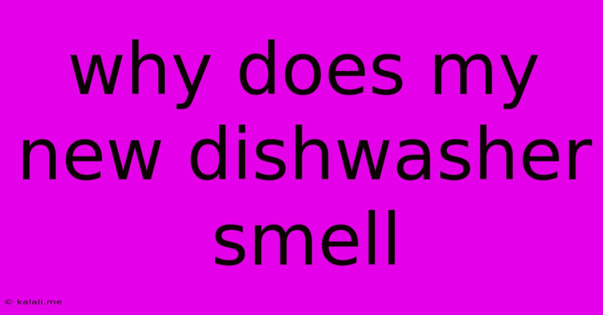 Why Does My New Dishwasher Smell