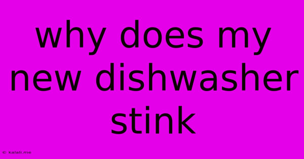 Why Does My New Dishwasher Stink