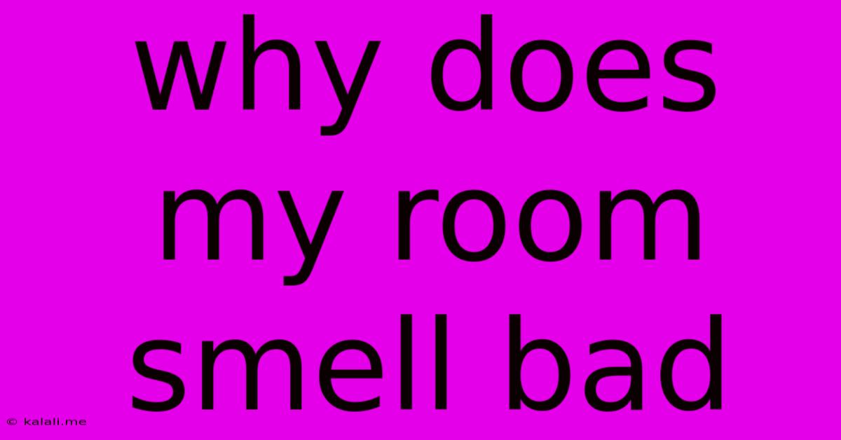 Why Does My Room Smell Bad