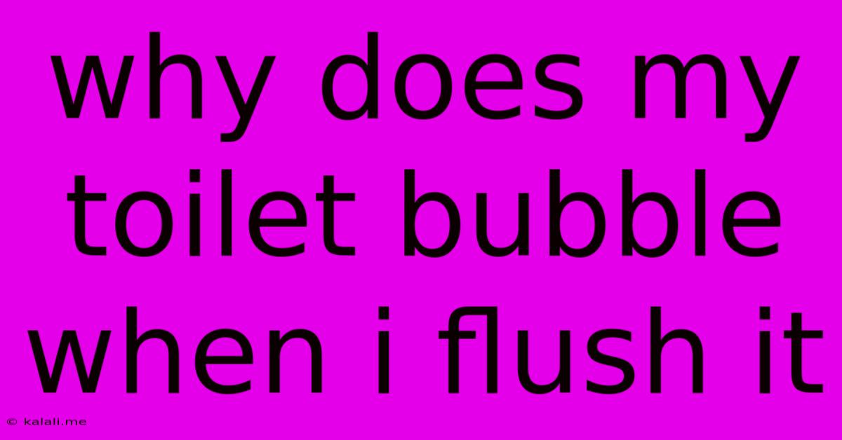 Why Does My Toilet Bubble When I Flush It