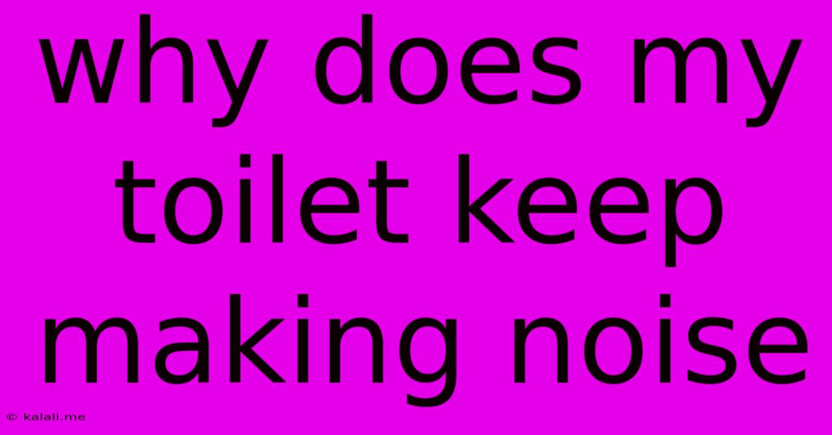 Why Does My Toilet Keep Making Noise