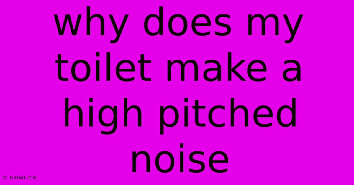 Why Does My Toilet Make A High Pitched Noise