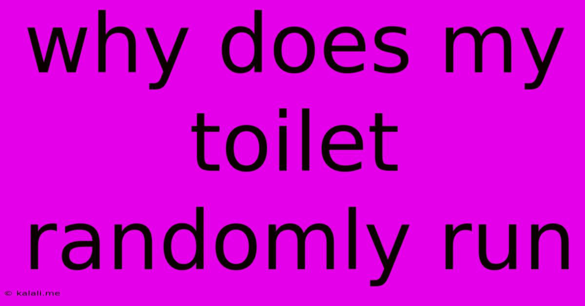 Why Does My Toilet Randomly Run