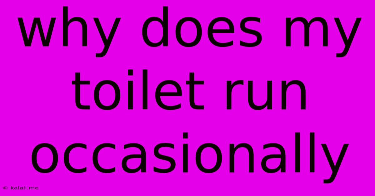 Why Does My Toilet Run Occasionally