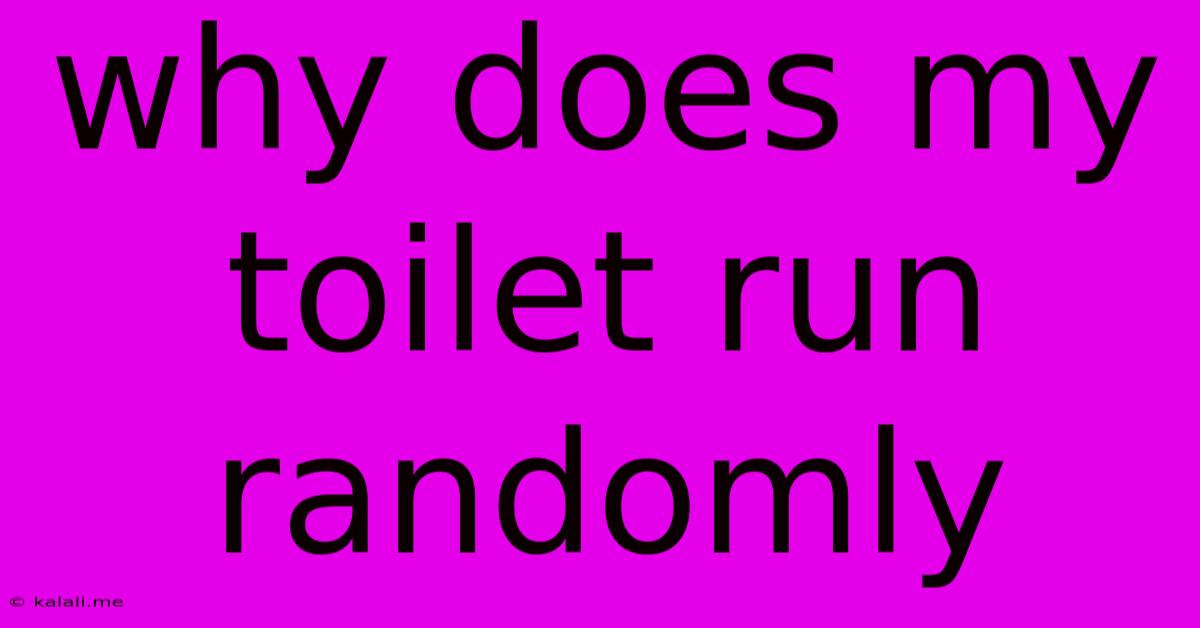 Why Does My Toilet Run Randomly