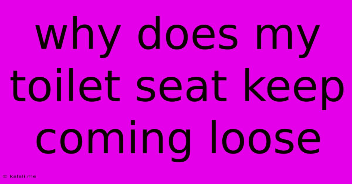 Why Does My Toilet Seat Keep Coming Loose