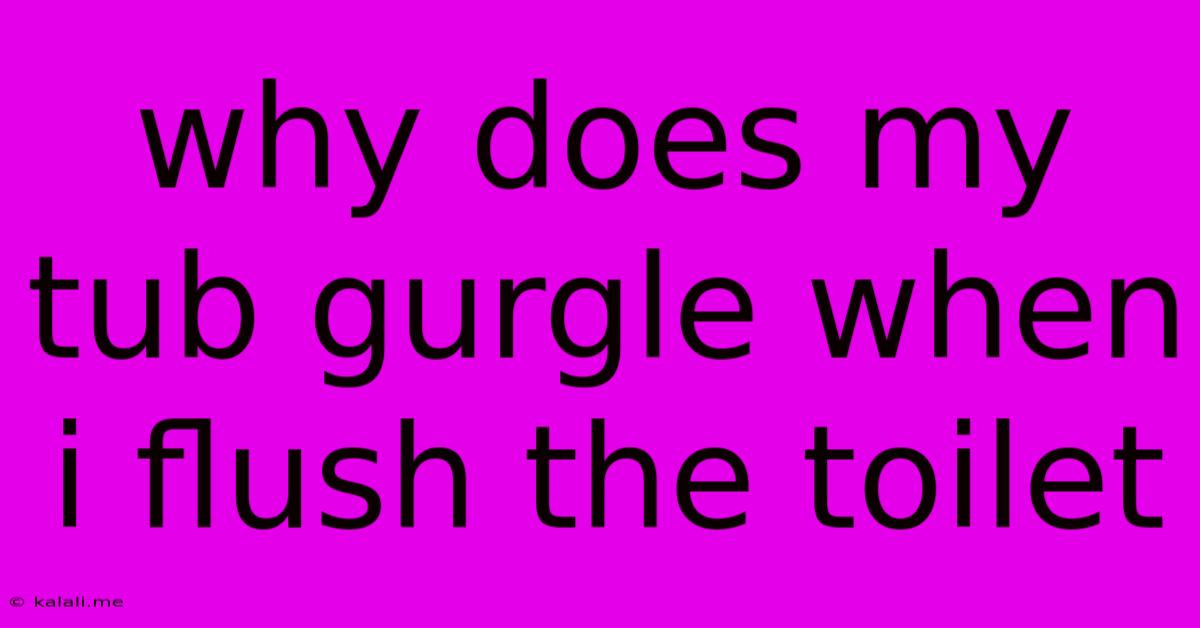 Why Does My Tub Gurgle When I Flush The Toilet