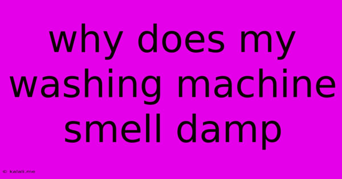 Why Does My Washing Machine Smell Damp