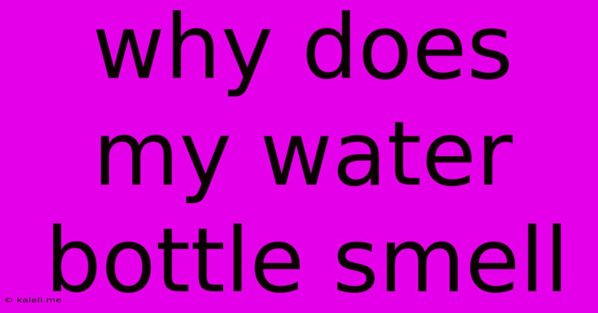 Why Does My Water Bottle Smell