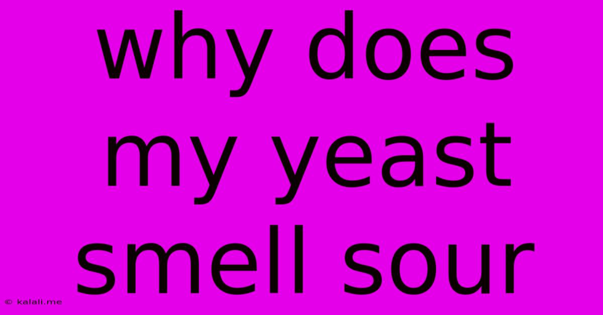 Why Does My Yeast Smell Sour