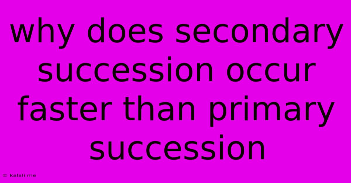 Why Does Secondary Succession Occur Faster Than Primary Succession