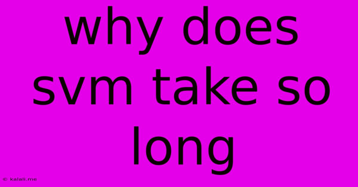 Why Does Svm Take So Long