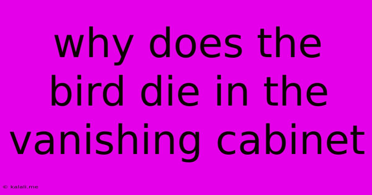 Why Does The Bird Die In The Vanishing Cabinet