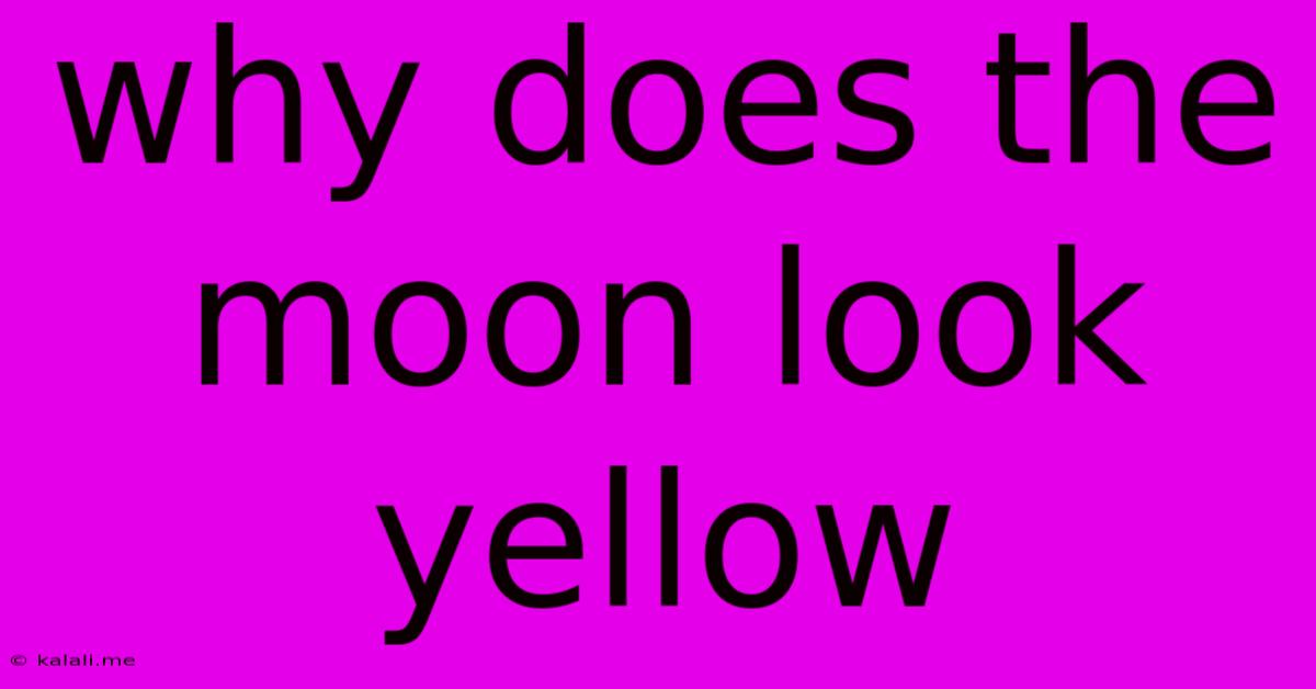 Why Does The Moon Look Yellow