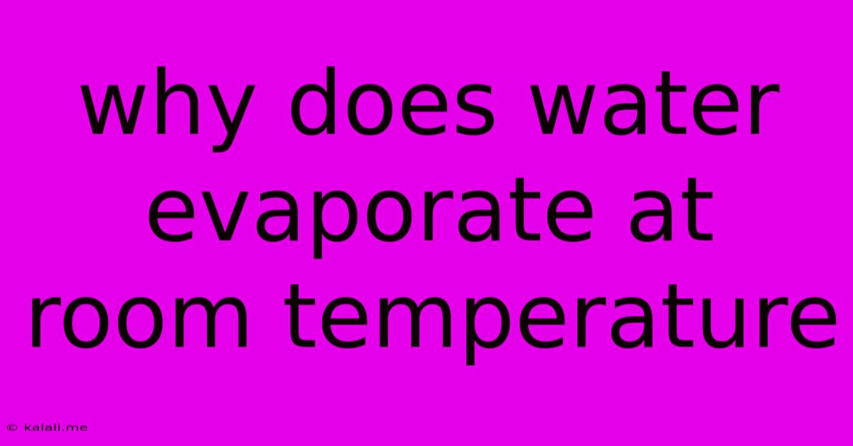 Why Does Water Evaporate At Room Temperature