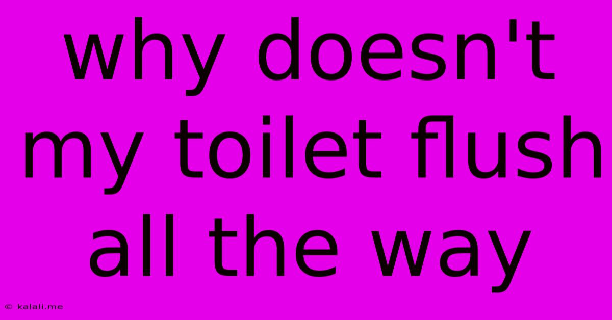 Why Doesn't My Toilet Flush All The Way