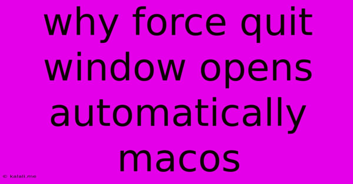 Why Force Quit Window Opens Automatically Macos