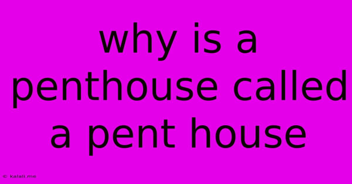 Why Is A Penthouse Called A Pent House