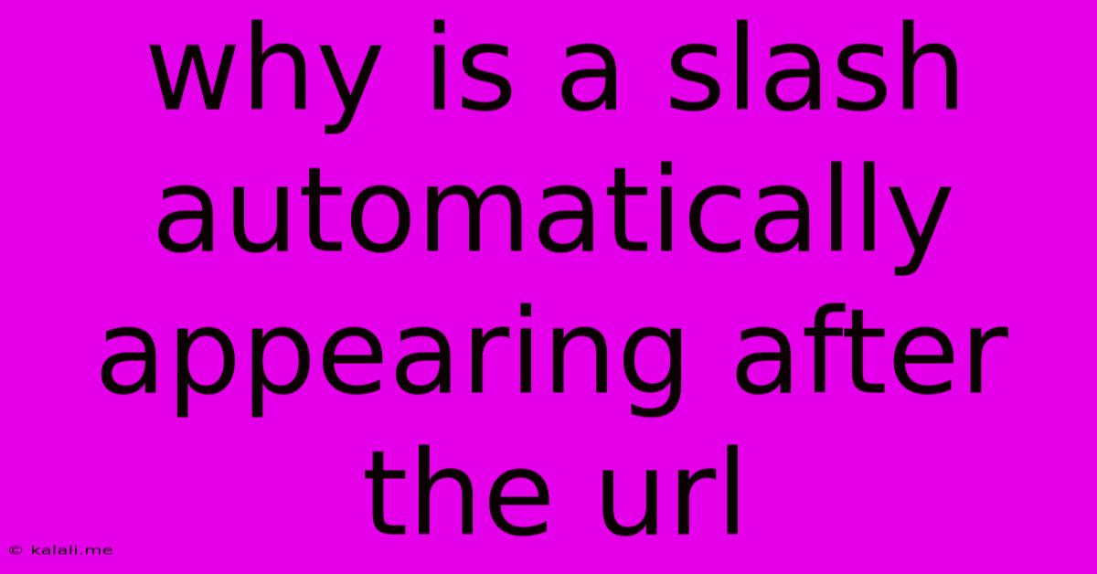 Why Is A Slash Automatically Appearing After The Url