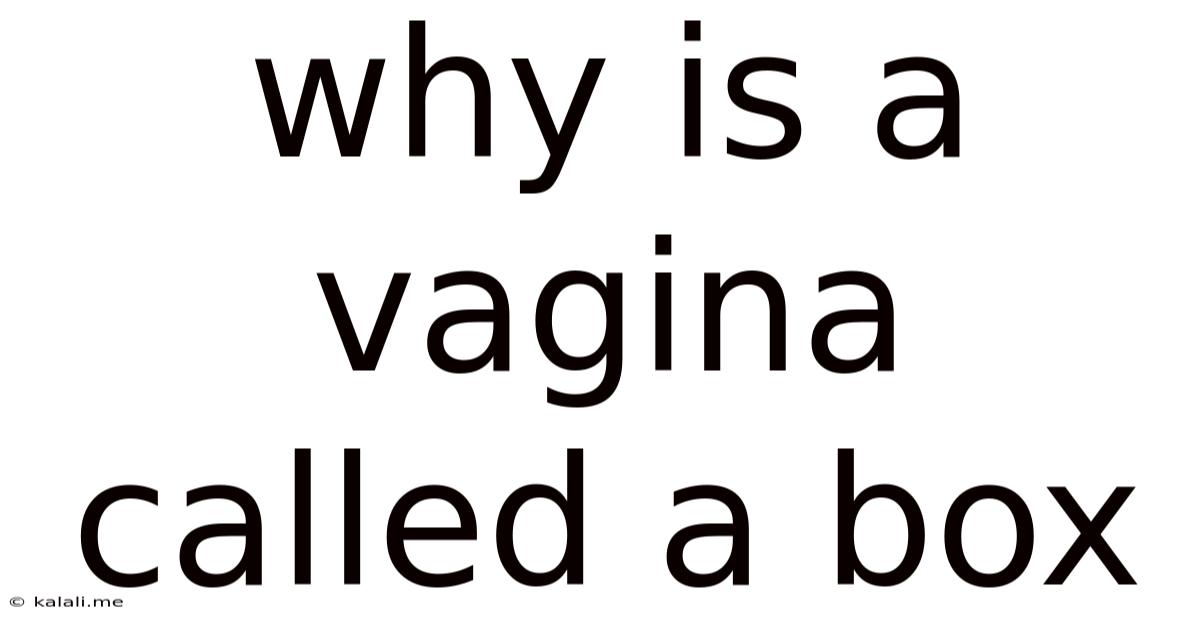 Why Is A Vagina Called A Box