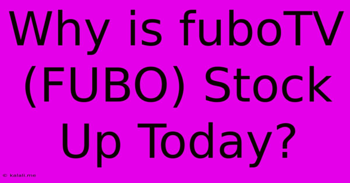 Why Is FuboTV (FUBO) Stock Up Today?