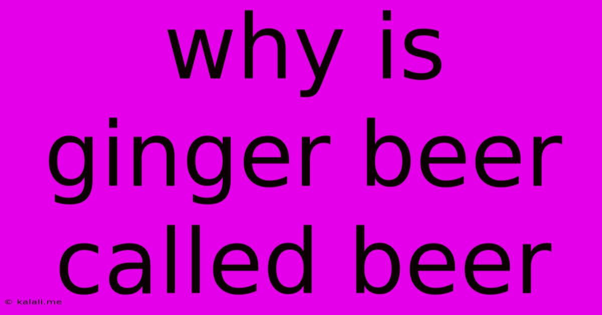 Why Is Ginger Beer Called Beer