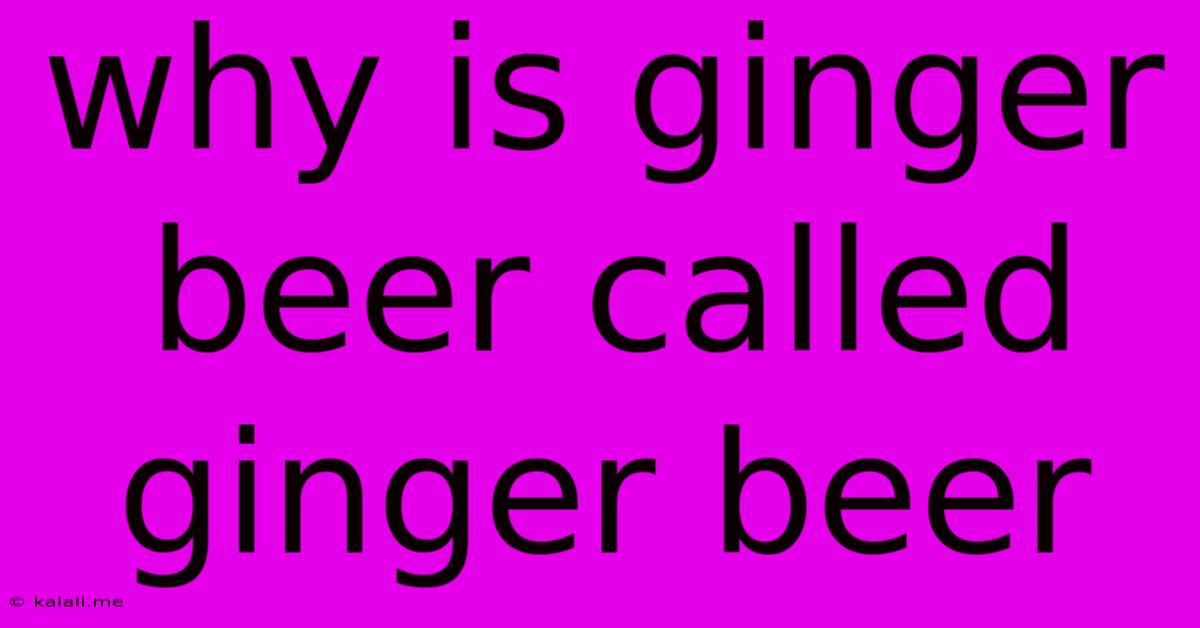 Why Is Ginger Beer Called Ginger Beer