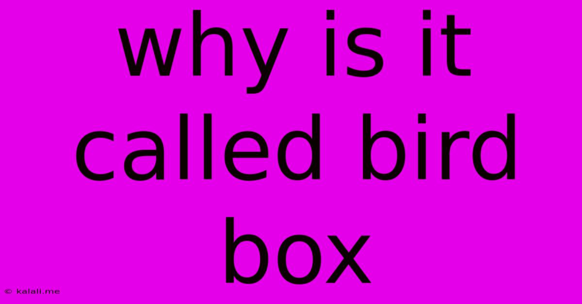 Why Is It Called Bird Box