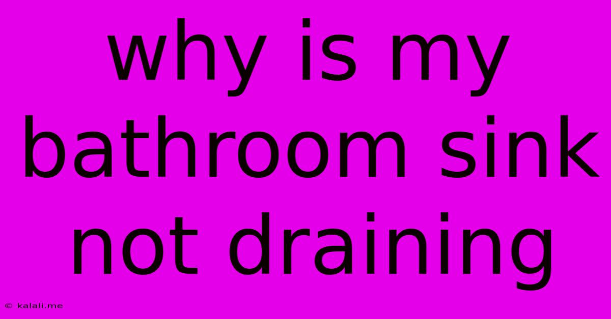 Why Is My Bathroom Sink Not Draining