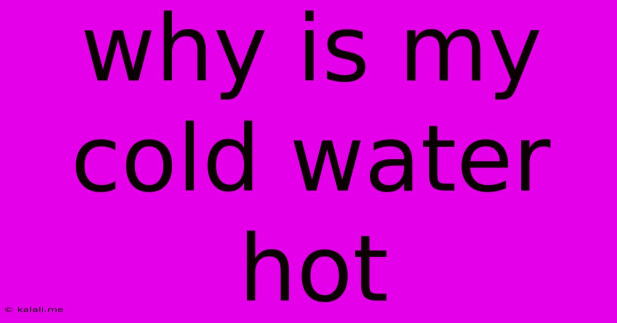 Why Is My Cold Water Hot