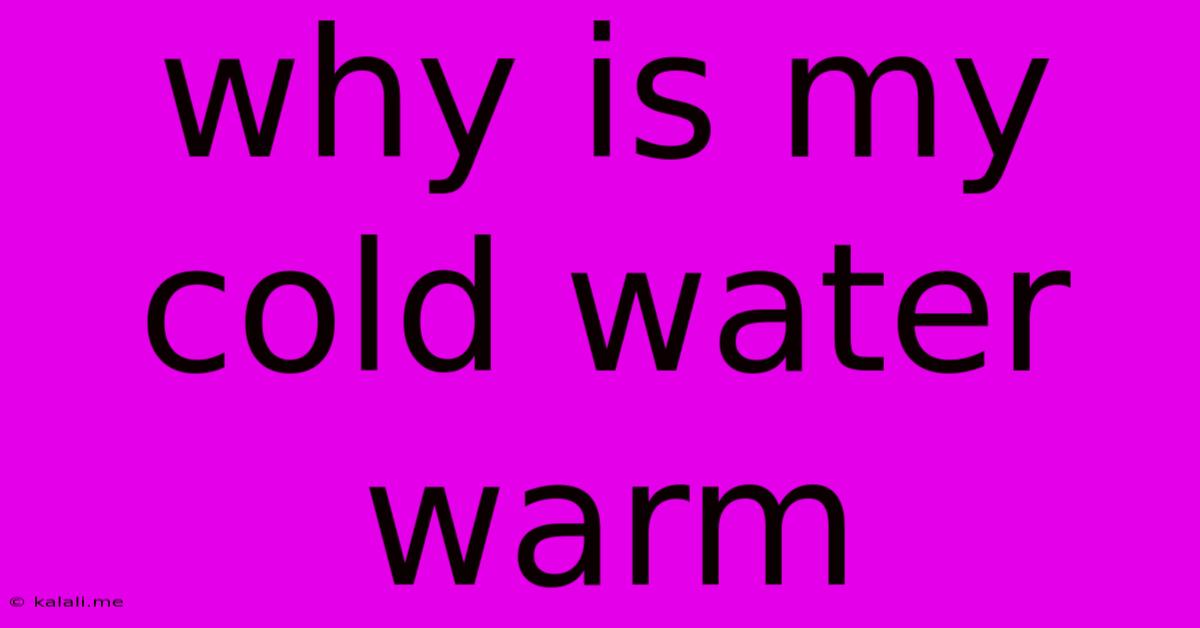 Why Is My Cold Water Warm