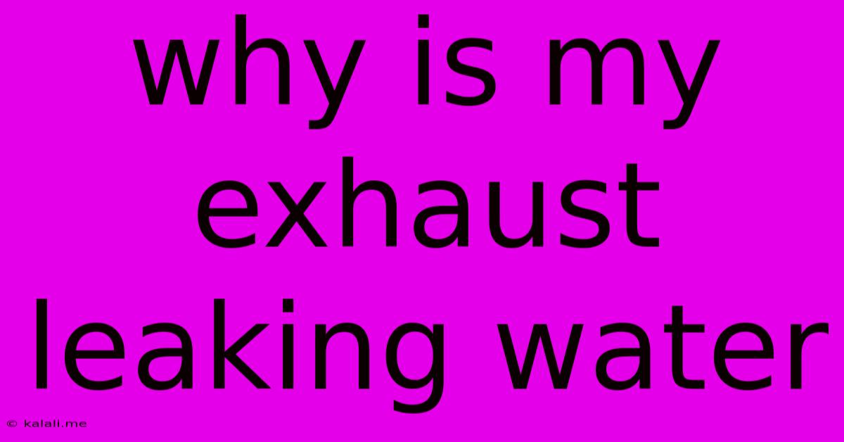 Why Is My Exhaust Leaking Water