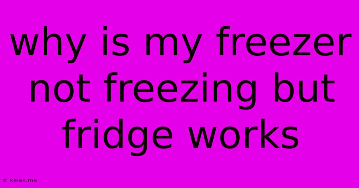 Why Is My Freezer Not Freezing But Fridge Works
