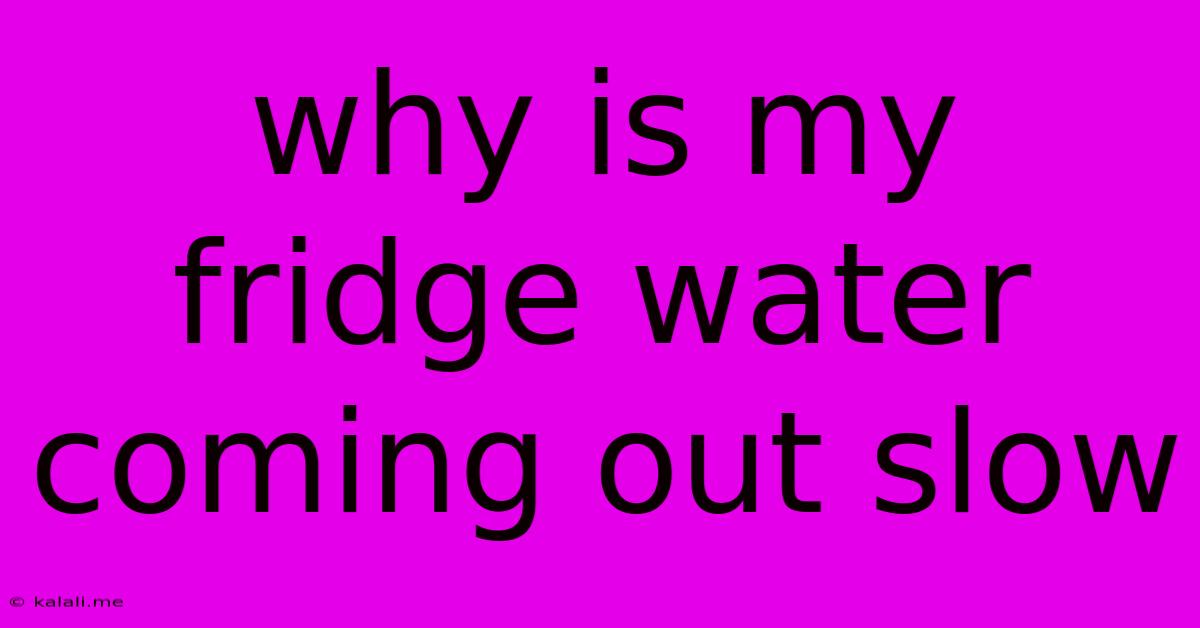 Why Is My Fridge Water Coming Out Slow