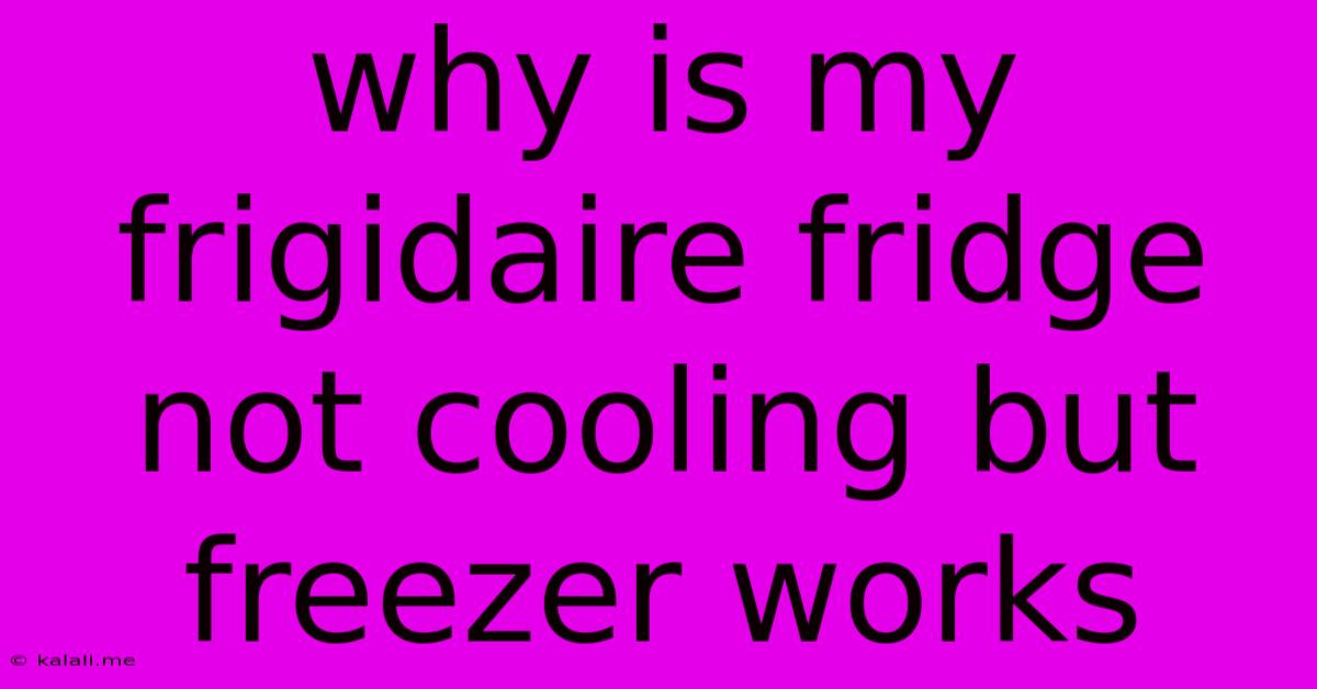 Why Is My Frigidaire Fridge Not Cooling But Freezer Works