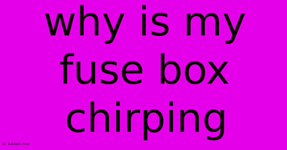 Why Is My Fuse Box Chirping
