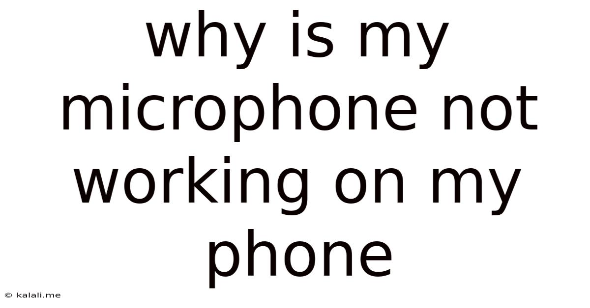 Why Is My Microphone Not Working On My Phone
