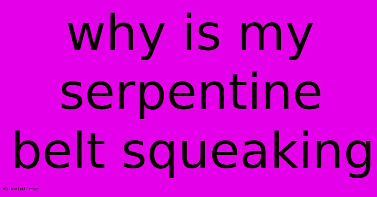 Why Is My Serpentine Belt Squeaking