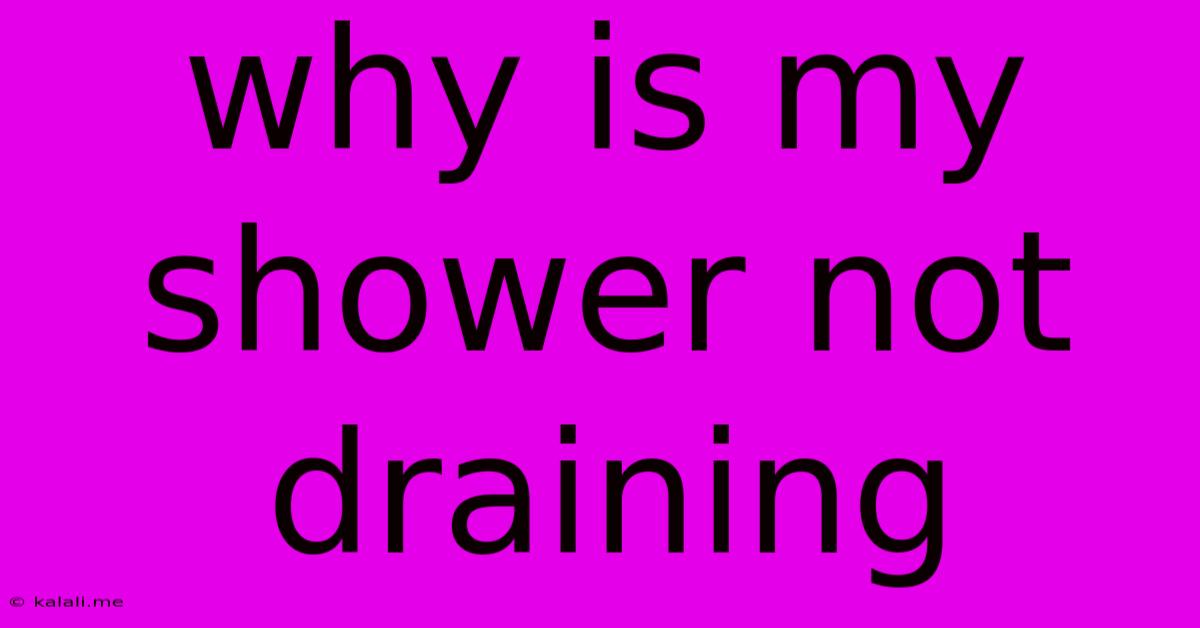 Why Is My Shower Not Draining