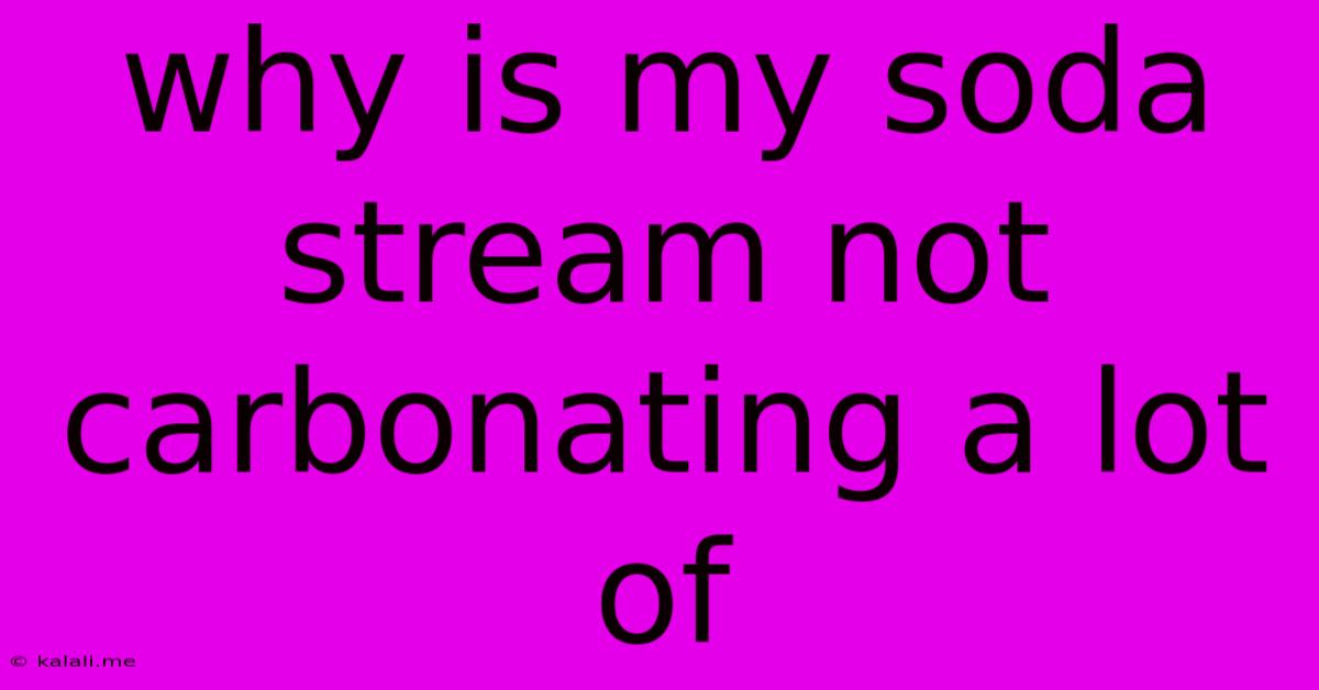 Why Is My Soda Stream Not Carbonating A Lot Of