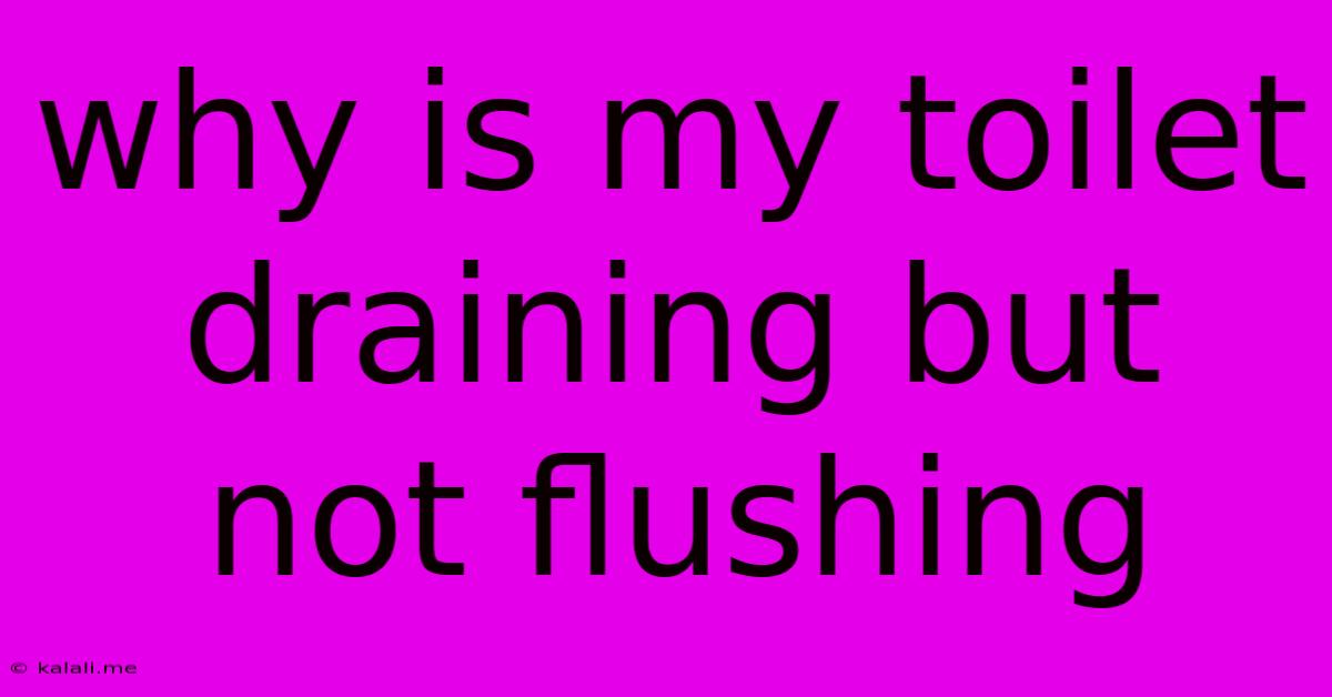 Why Is My Toilet Draining But Not Flushing