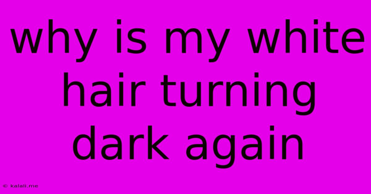 Why Is My White Hair Turning Dark Again