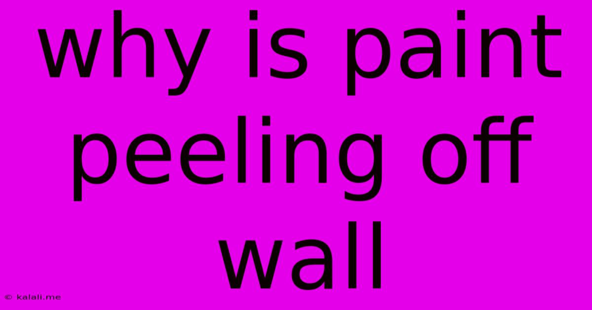 Why Is Paint Peeling Off Wall