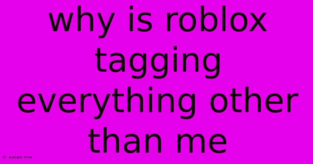 Why Is Roblox Tagging Everything Other Than Me